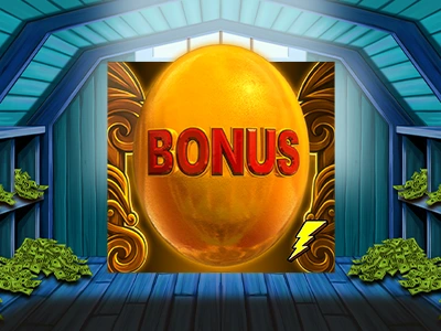 Chicken Fox - Free Spins