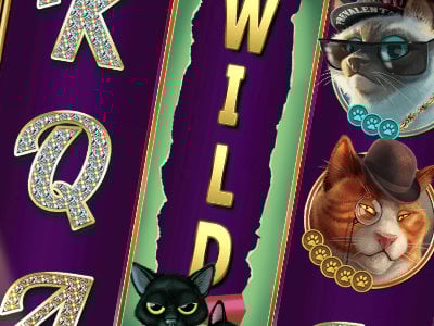 The Catfather - Random Stacked Wilds