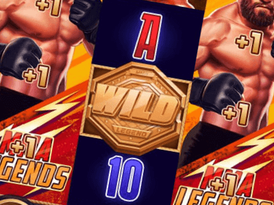 MMA Legends - Wilds