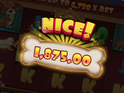The Dog House - Free Spins