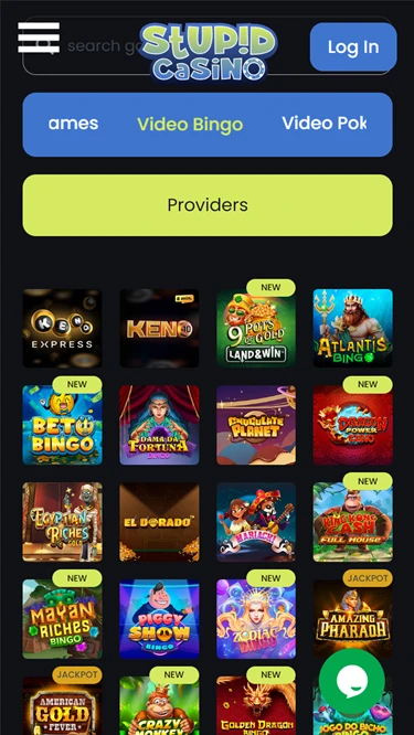 A screenshot of Stupid Casino's bingo selection