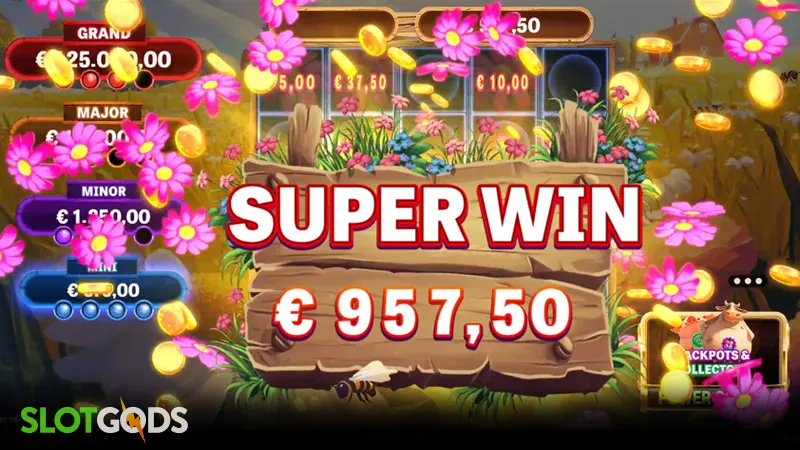 big win screenshot