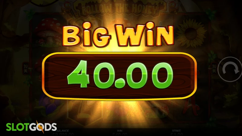 Follow the Honey Slot - Screenshot 3