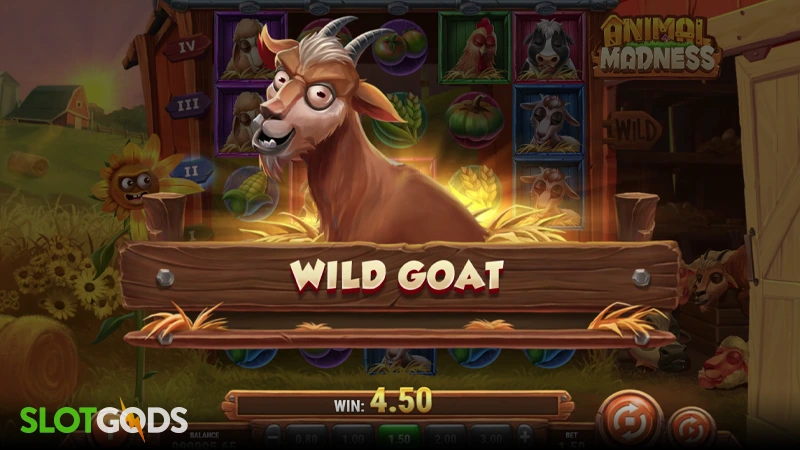 Animal Madness Slot - Screenshot 2