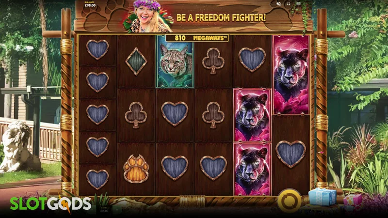 Big Cat Rescue Megaways Slot - Screenshot 