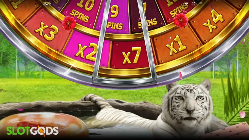Big Cat Rescue Megaways Slot - Screenshot 4