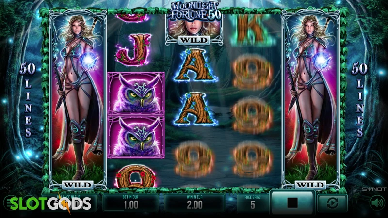 Moonlight Fortune 50 Slot - Screenshot 3