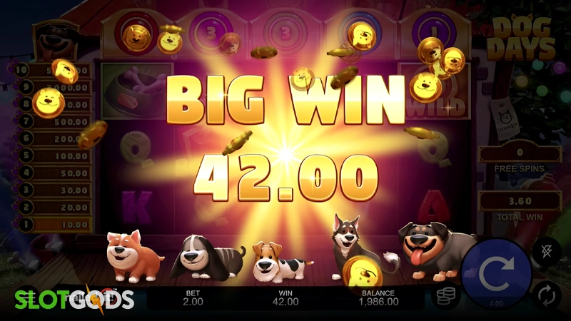Dog Days Slot - Screenshot 4