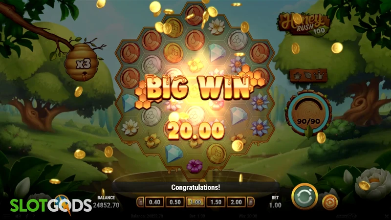 Honey Rush 100 Slot - Screenshot 4