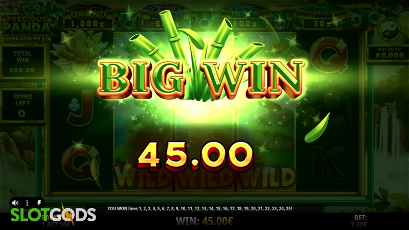 Precious Panda: Hold & Win Slot - Screenshot 4