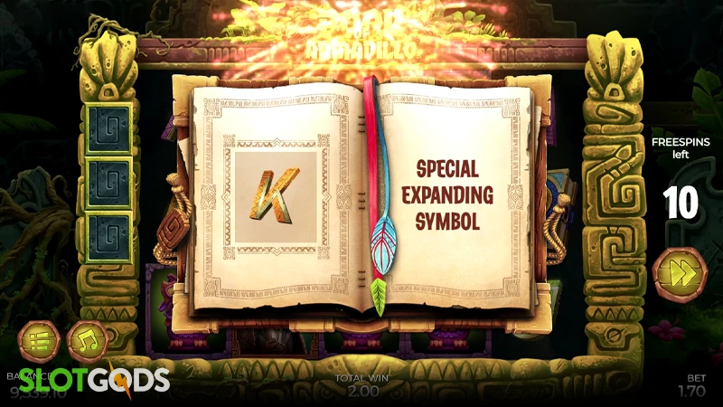 Book of Armadillo Slot - Screenshot 2