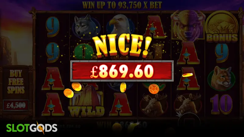 Buffalo King Slot - Screenshot 3