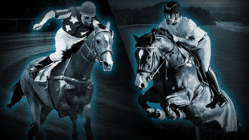 Sport of kings: Horse racing still truly special